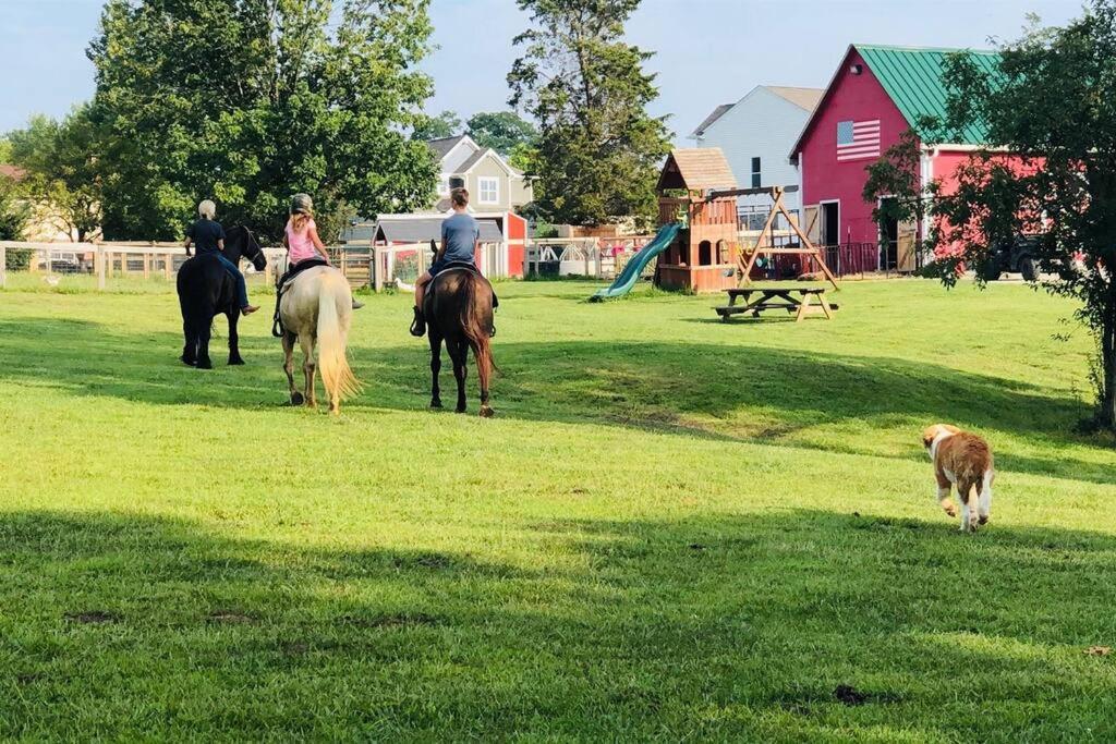 Beautiful Equestrian Estate Home W/ Hot Tub! Loveland Buitenkant foto