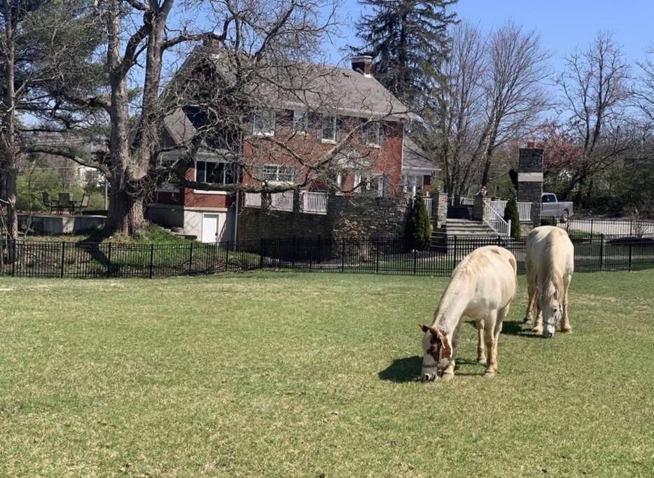 Beautiful Equestrian Estate Home W/ Hot Tub! Loveland Buitenkant foto