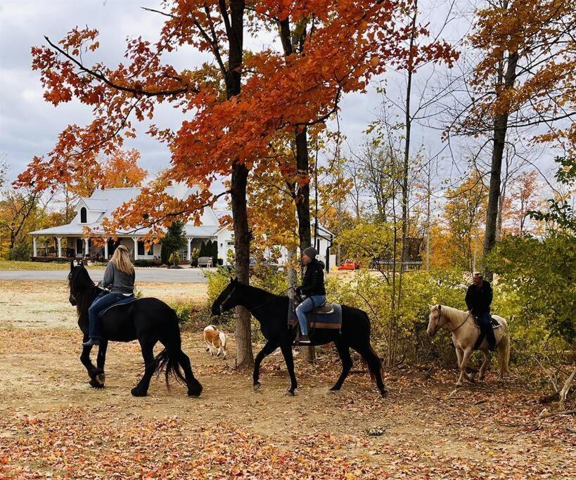 Beautiful Equestrian Estate Home W/ Hot Tub! Loveland Buitenkant foto